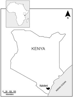 Adoption of climate resilient agricultural practices among the Giriama community in South East Kenya: implications for conceptual frameworks